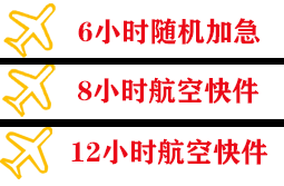 永川大安空运公司快递公司,专业空运当天件